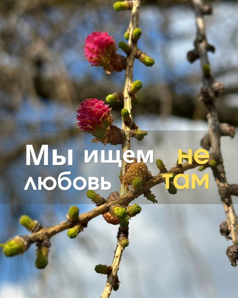 Поиск любви не там: повторяющиеся сценарии и выбор неподходящих партнеров